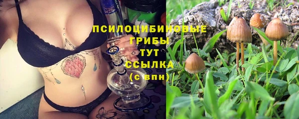 тгк Абинск